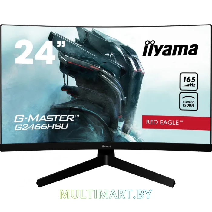 Монитор Iiyama G-Master (G2466HSU-B1)